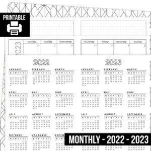 PRINTABLE |  Academic Dated Monthly - Aug 2022 - July 2023 Planner Insert